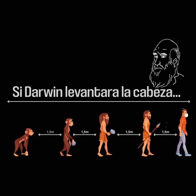 Camiseta nueva teoria de la evolución según Darwin