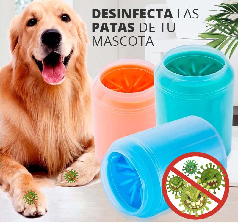 Desinfecta las patas de tu perro